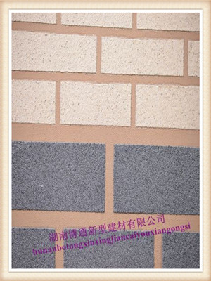 中國創(chuàng)新性彩色裝飾砂漿（質感型）
